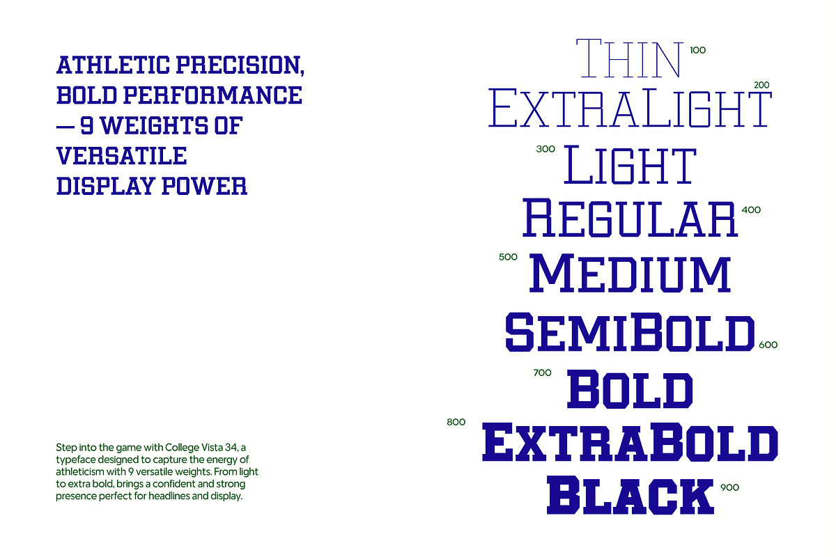 College Vista 34 - 9 Fonts, a Slab Serif Font by Casloop Studio (Photo 9 of 9)