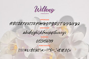 Willany - Handwritten Font, a Handwritten Font by Alphaleonis_std (Thumbnail 7 of 7)