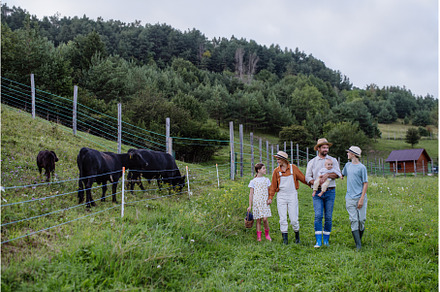 Rear view of farmer family walking, an Animal Photo by HalfPoint