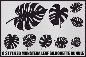 Stylized Monstera Leaf Bundle, an Illustration by hafijul