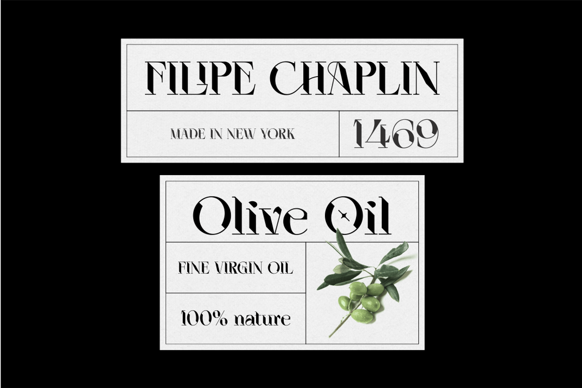 ELGISTA, a Serif Font by Bagerich Type Foundry (Photo 11 of 13)