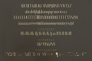 Anteric - Typeface | 3 weights, a Serif Font by VP Fonts (Thumbnail 9 of 10)