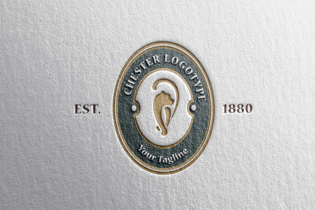 Cheetah logotype 2 versions, a Branding & Logo Template by Alexandra De Angelis (Photo 1 of 7)