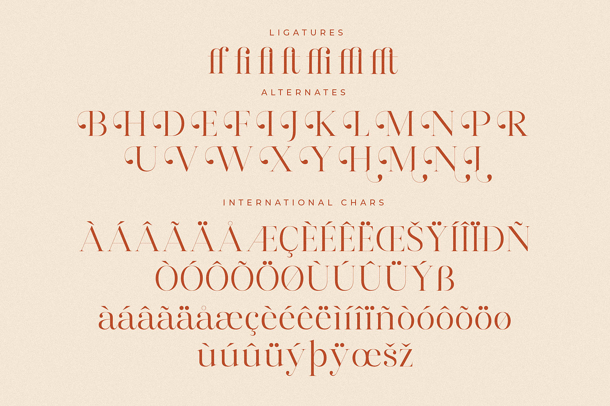 Harfine Modern Serif Font, a Serif Font by Letterena Studios (Photo 14 of 15)