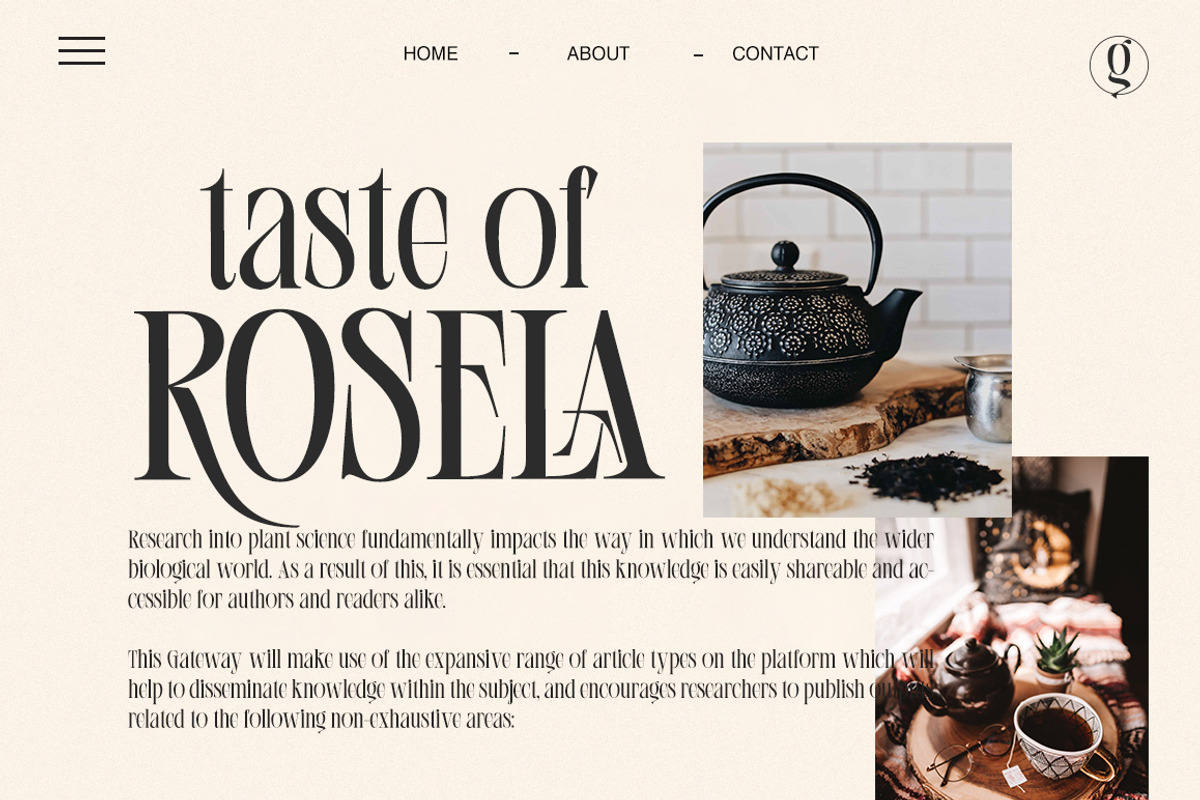 Flanela (Family), a Serif Font by Gatype (Photo 4 of 11)
