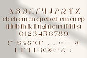 Egista - Modern Serif Font, a Serif Font by Aqeel_Art (Thumbnail 10 of 12)