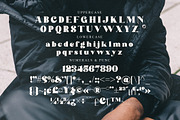 Danver Bridget Modern Serif Font, a Serif Font by Storytype Studio (Thumbnail 13 of 15)