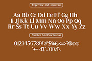 Matterazi, a Serif Font by Zaenal Studio (Thumbnail 7 of 12)