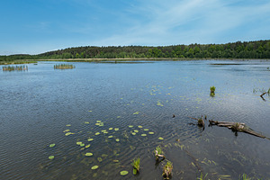 Summer valley lake landscape, a Nature Photo by YuriyB