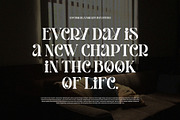 Giamlass - Unique Display Serif, a Serif Font by BrandSemut (Thumbnail 9 of 16)