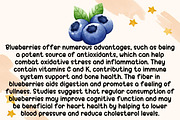 Blue Berries - Handwritting, a Handwritten Font by Charmingbear59.design (Thumbnail 3 of 5)