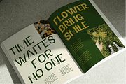 Alerio Sans, a Sans Serif Font by zeenesia (Thumbnail 5 of 17)