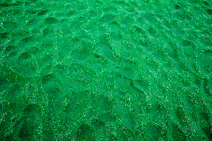 Multicolored sand on the seashore, a Background Photo by Schreibikus