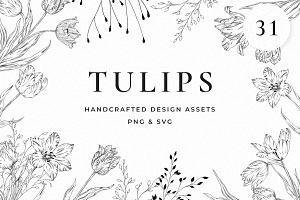Tulip Vector Clipart Bundle, a Decorative Illustration by AW Studios