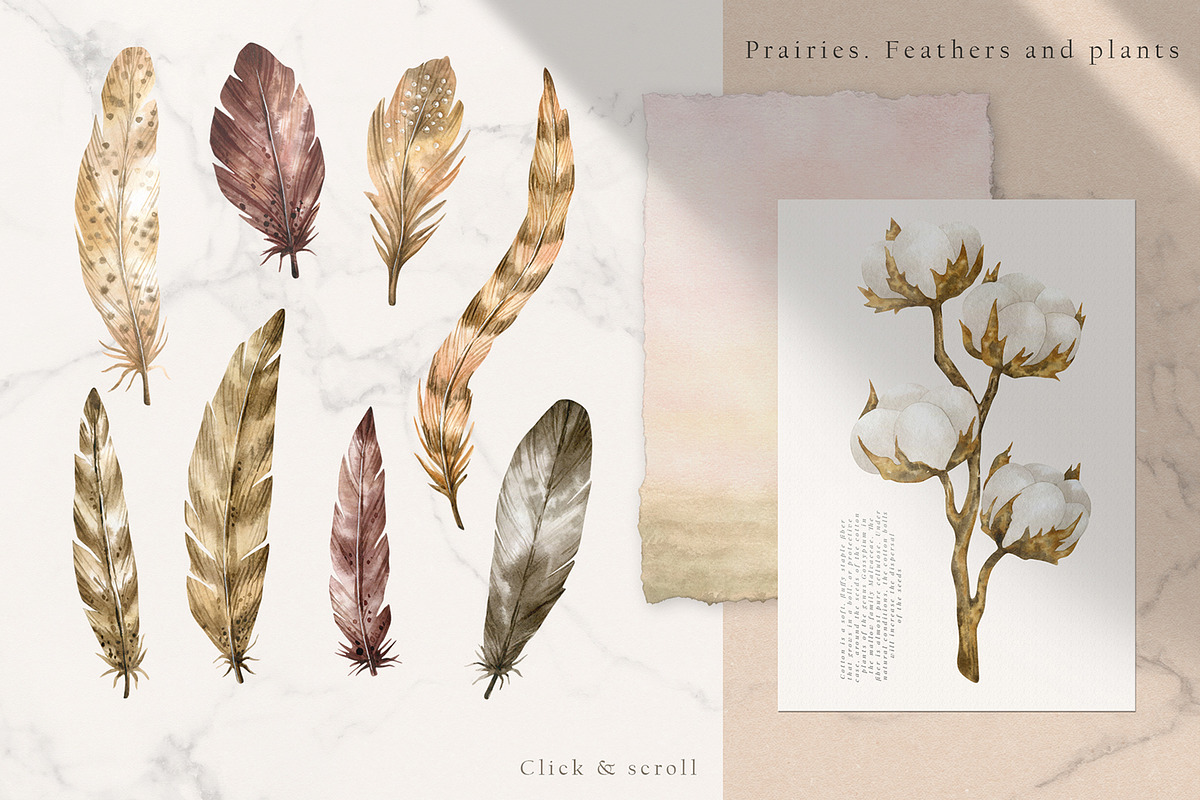 Prairies. American Animals & Nature, an Animal Illustration by Kreker Kate (Photo 6 of 13)