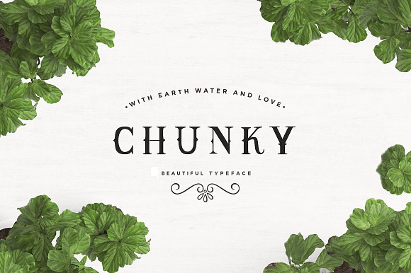 Chunky Typeface preview 7