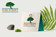 Trees Hand Drawn Illustrations, an Illustration by Artolabs (Thumbnail 5 of 5)