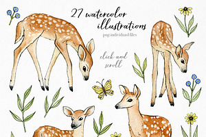 Baby Deer Watercolor Illustrations