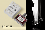 Modern Elegant Serif - Bevola, a Serif Font by RagamKata (Thumbnail 5 of 10)