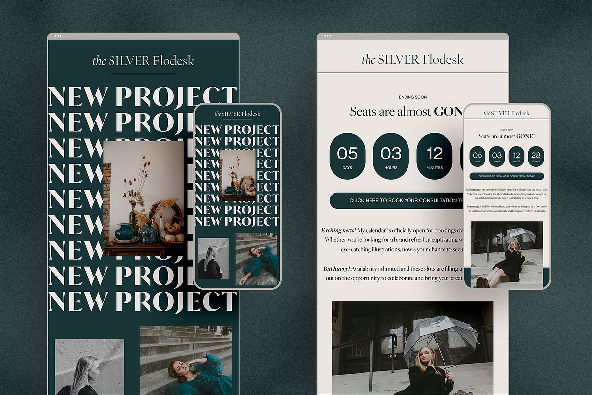 The Silver Flodesk Email Templates, an Email Template by SilverStag Type Foundry (Photo 4 of 12)