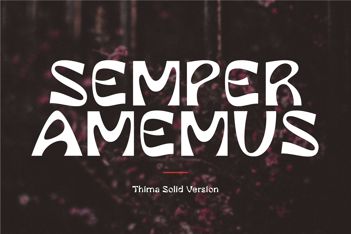 Thima, a Sans Serif Font by Rosario Nocera (Photo 9 of 11)