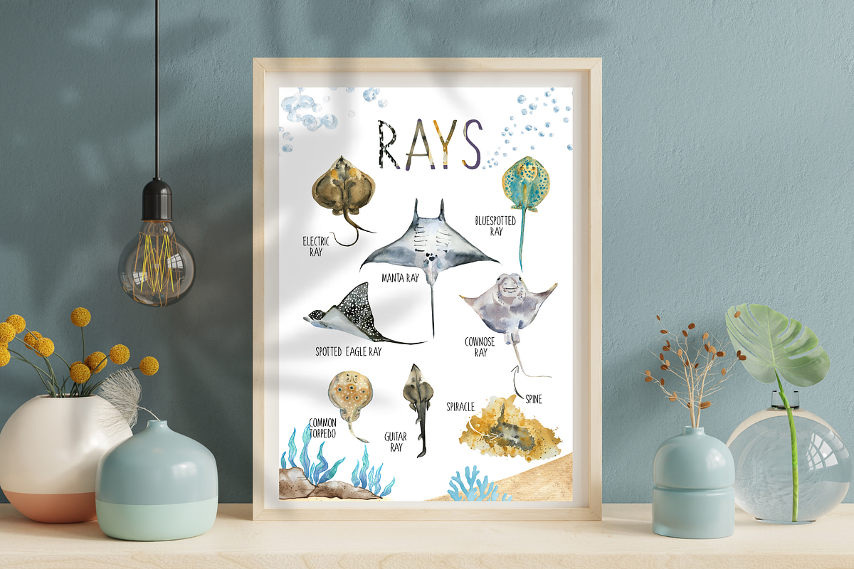 Watercolour Ray Set, an Education Illustration by Tati Bordiu (Photo 6 of 6)
