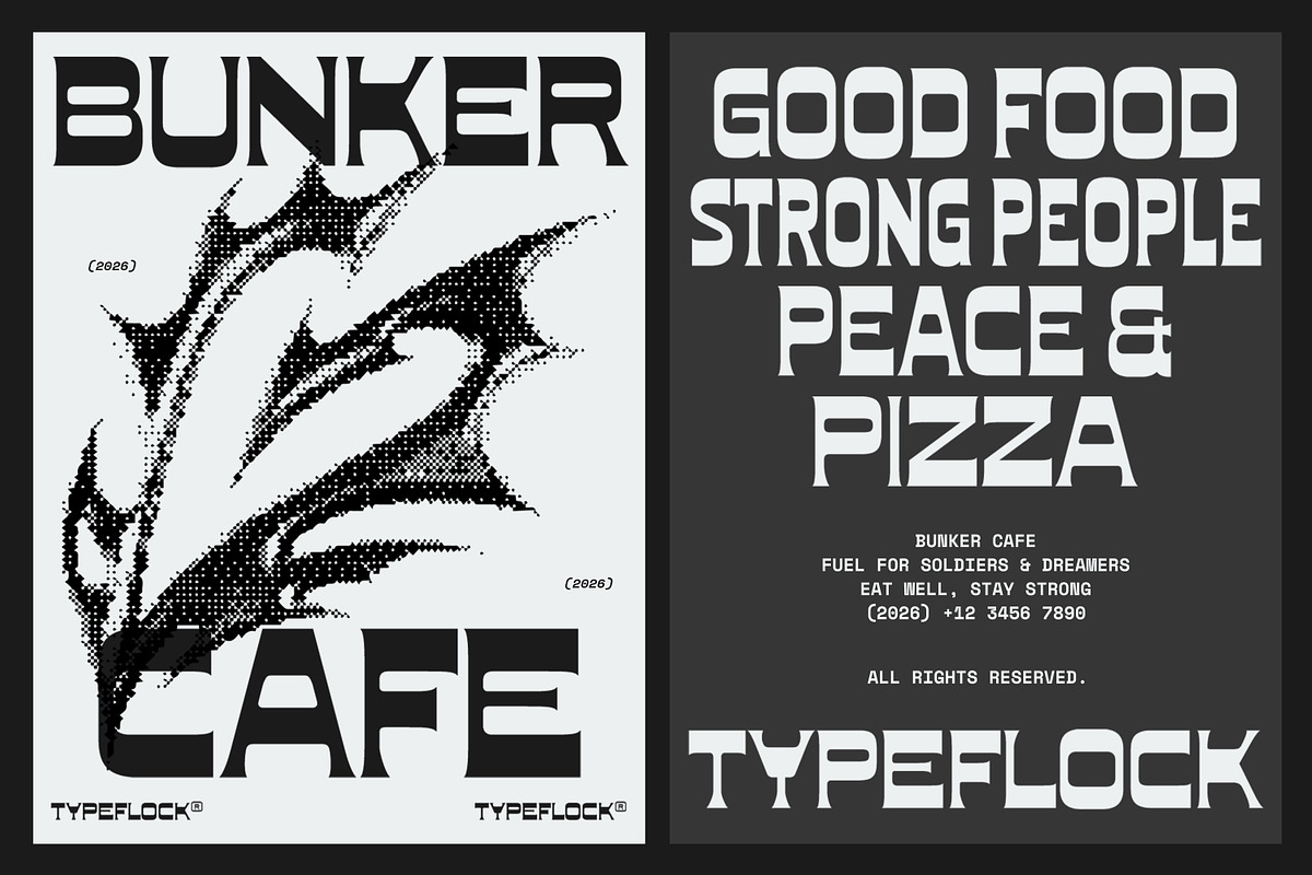 TFC Fragile Font, a Sans Serif Font by Type Flock (Photo 13 of 17)