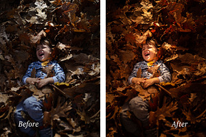 Autumn Adobe Lightroom Presets, an Action Add-On by Goat presets