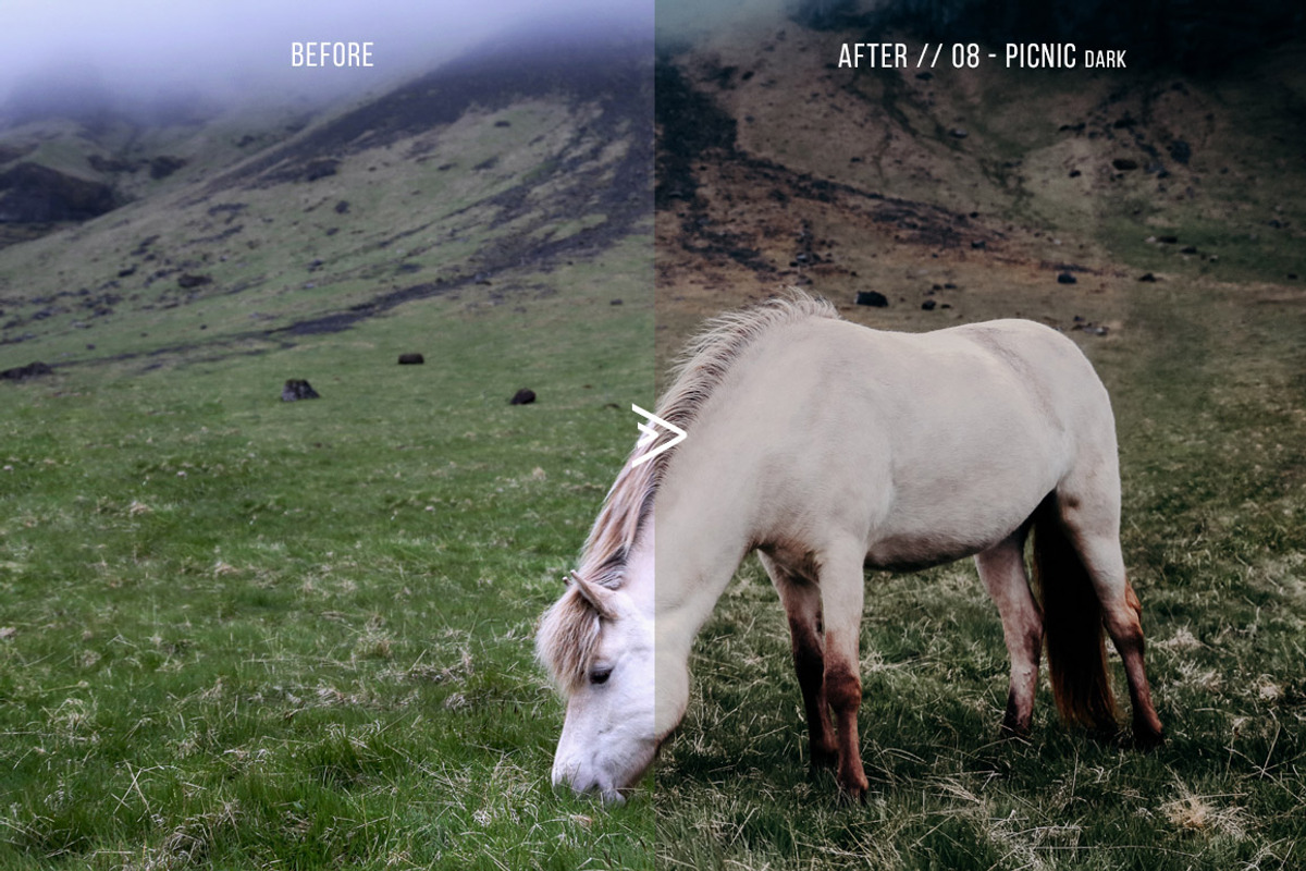 Grassland Lightroom Presets, an Action Add-On by FilterAtelier (Photo 14 of 15)