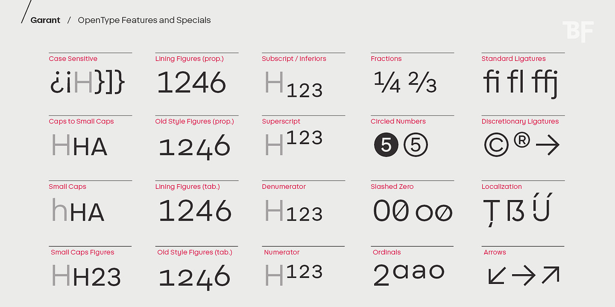 BF Garant, a Sans Serif Font by BrassFonts (Photo 12 of 14)