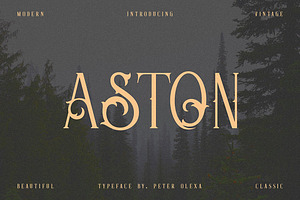 Aston - Vintage Serif Font