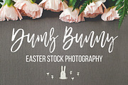 Dumb Bunny Easter Stock Photography, a Mockup by Ashley Alexandra Design (Thumbnail 2 of 10)