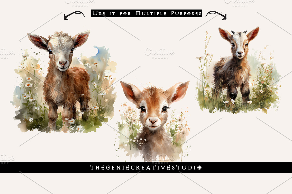 Watercolor PNG  Baby Goat Clipart, an Animal Illustration by Geniecreativestudio (Photo 6 of 9)
