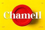 Chamell - Modern Serif Typeface, a Serif Font by Font Kingdom (Thumbnail 1 of 9)