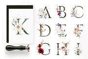 Bronte | Botanical set | 280+ images, an Illustration by Karma (Thumbnail 19 of 39)