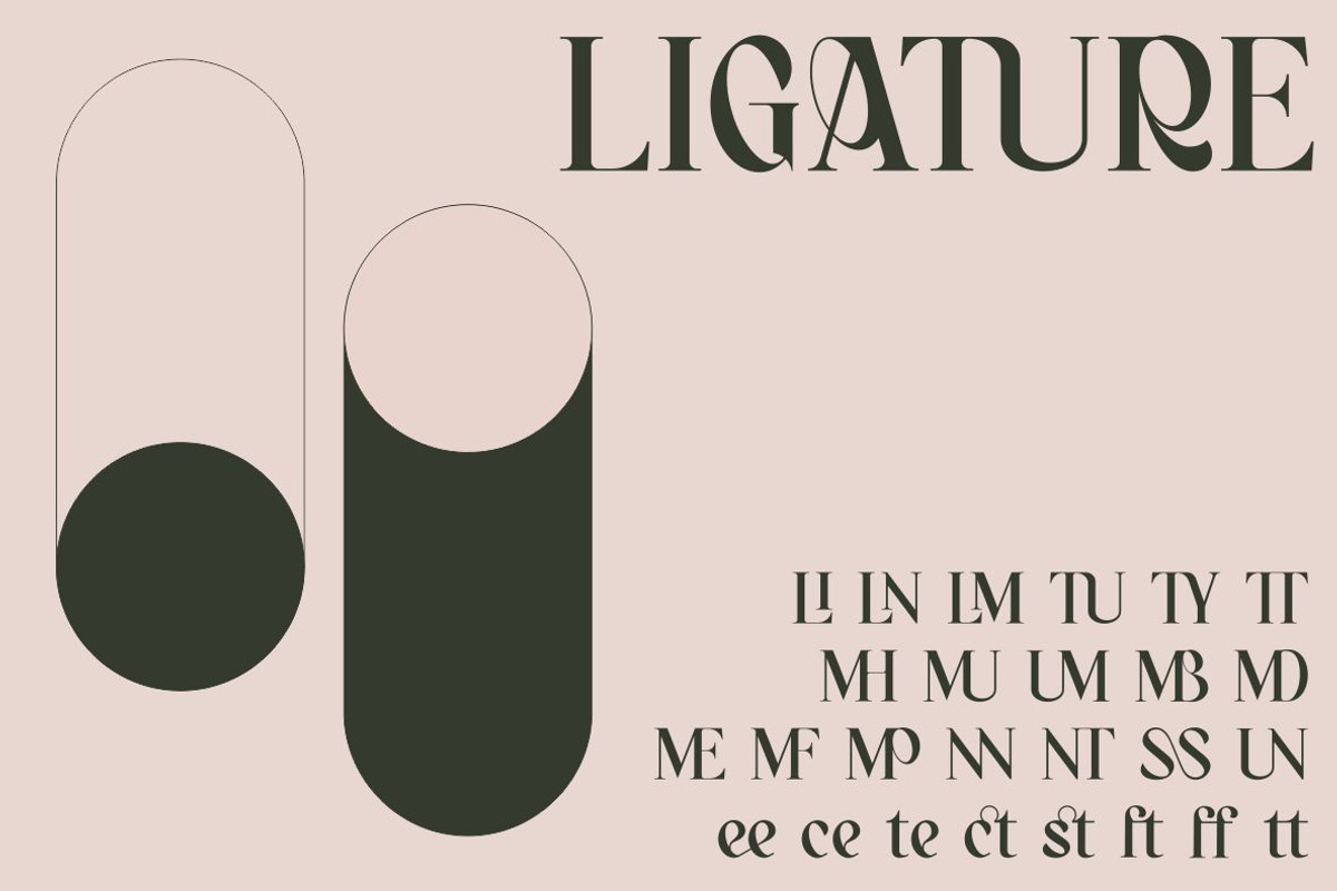 BAGERICH FONT, a Sans Serif Font by Bagerich Type Foundry (Photo 5 of 7)