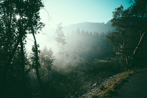Fog stock photo
