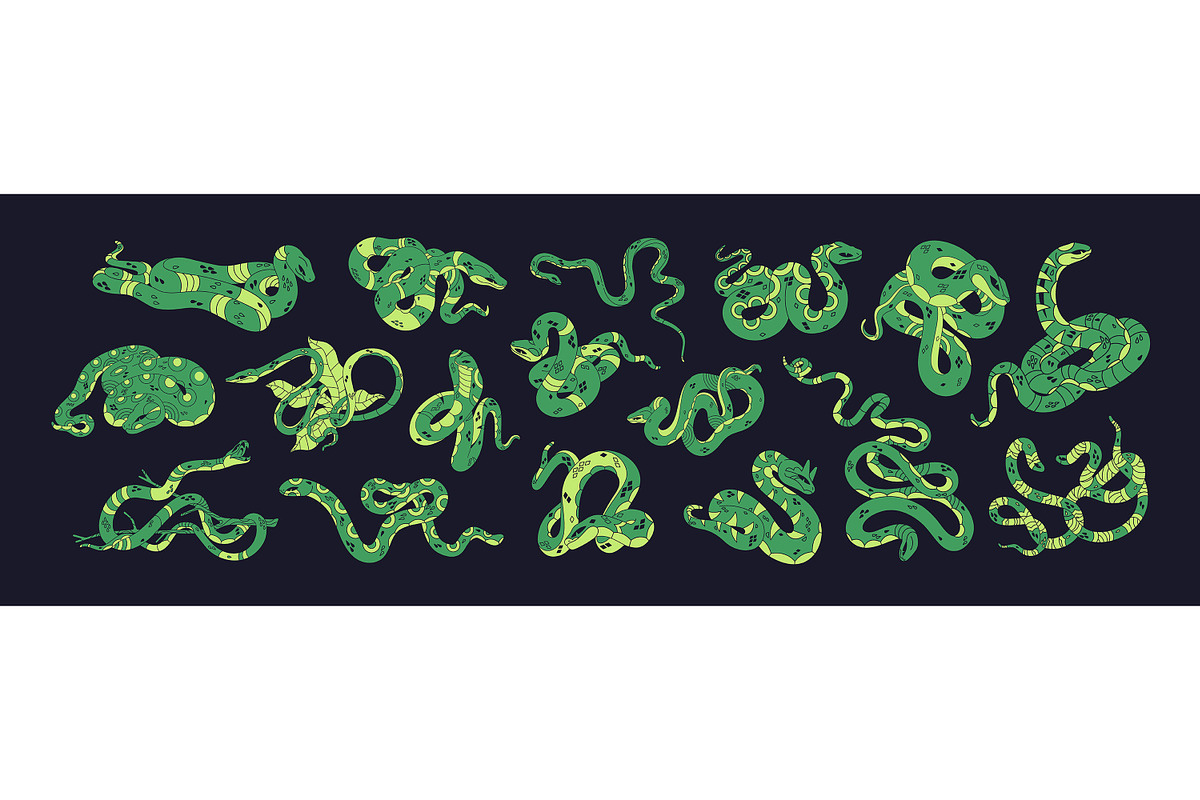 Exotic snakes set, seamless patterns, an Animal Illustration by PaperTrident (Photo 2 of 7)