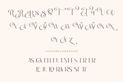 Romantic Serif - Elegant Classy Font, a Font by HansCo Studio (Thumbnail 13 of 15)