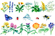 Watercolor medicinal herbs, a Healthcare Illustration by Vikeriya (Thumbnail 2 of 6)