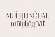 Zaloga Typeface - Display Serif, a Serif Font by Youthlabs Studio (Thumbnail 11 of 12)