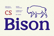 CS Bison – Retro Font, a Serif Font by Craft Supply Co. (Thumbnail 1 of 8)