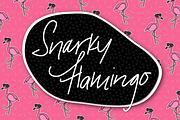 Snarky Flamingo, a Handwritten Font by Kitaleigh (Thumbnail 1 of 4)