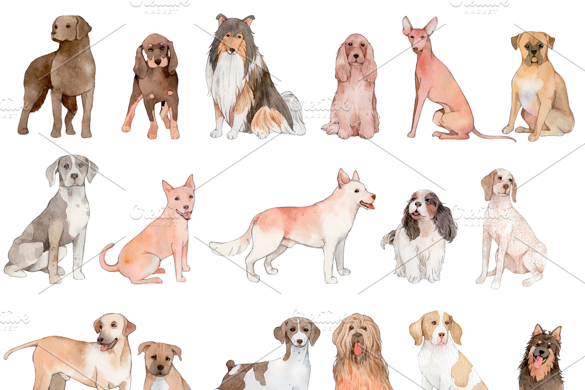190+ Hand-drawn Watercolor Dogs, an Animal Illustration by ArtbyHien (Photo 7 of 12)