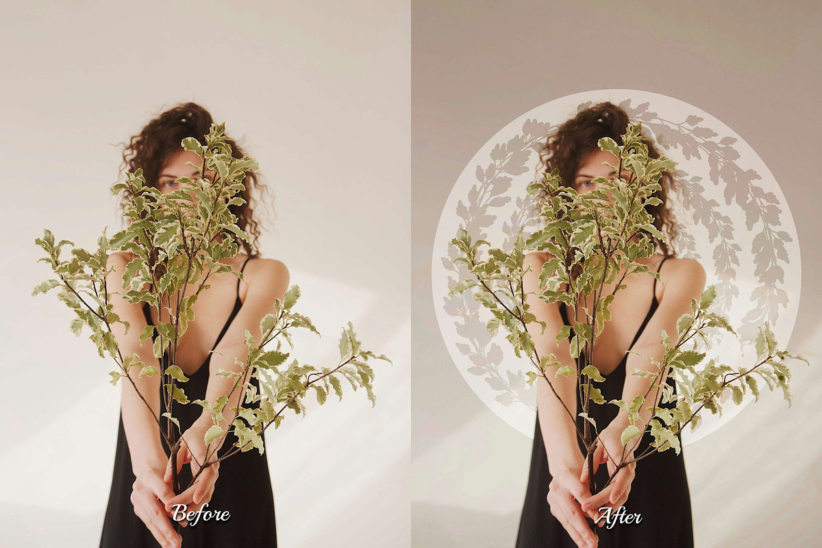 50 Flower Hoop Snoot Overlays, a Background Graphic by 3Motional (Photo 11 of 16)