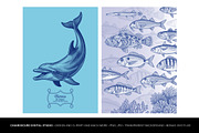 Mediterranean Sea Vector Clipart Set, an Animal Illustration by Pingebat (Thumbnail 5 of 15)