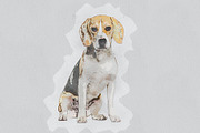 Pastel Watercolor Painting Photoshop, an Action Add-On by Photoshop Action (Thumbnail 8 of 12)
