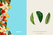 Vintage Summer Flowers Collection, a Pattern Graphic by Chus Moreno Studio (Thumbnail 15 of 17)