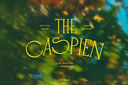 Loviena Rose - Stylish Serif, a Serif Font by CCS Type (Thumbnail 5 of 25)