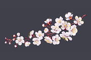 Apricot Branches Big Floral Set, an Illustration by MarynaPetrovska (Thumbnail 2 of 23)